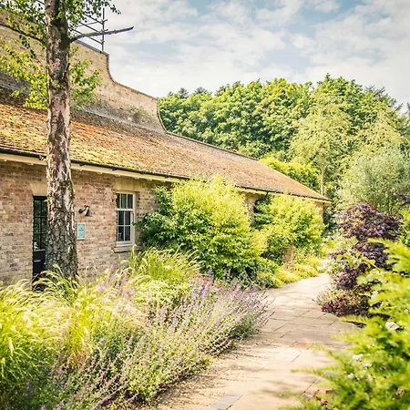 Lynford Holiday Cottages Nestled In The Heart Of Thetford Forest Mundford Exterior photo