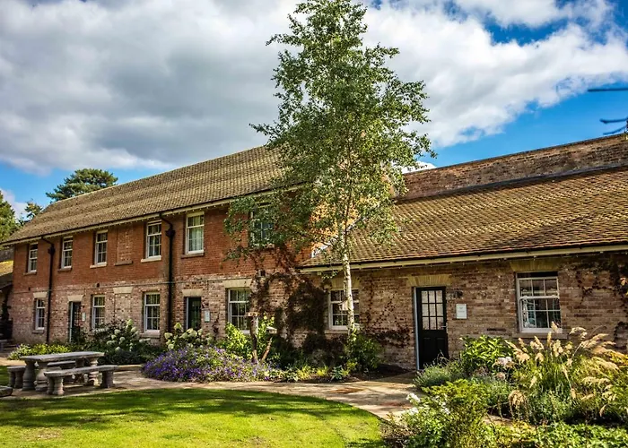 Lynford Holiday Cottages Nestled In The Heart Of Thetford Forest