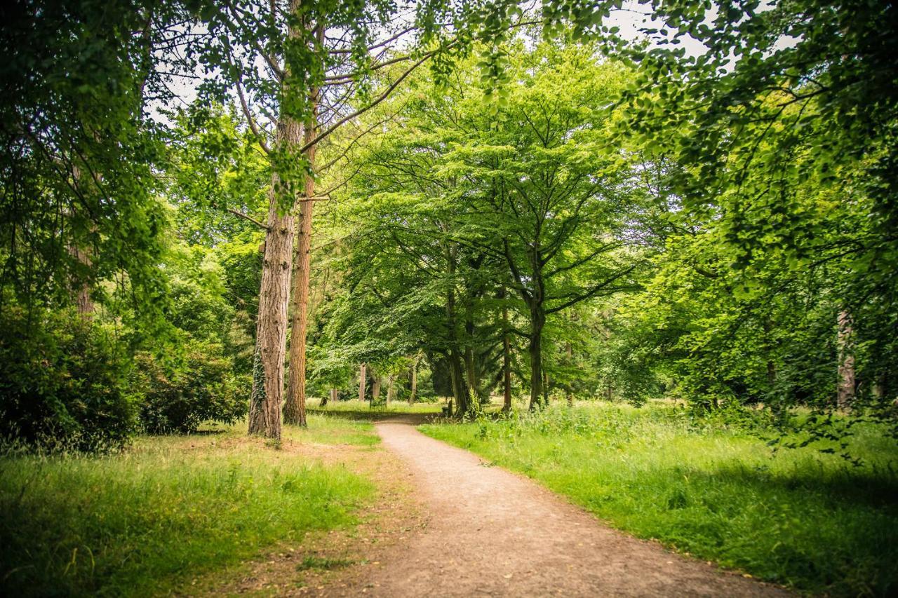 Lynford Nestled In The Heart Of Thetford Forest Mundford