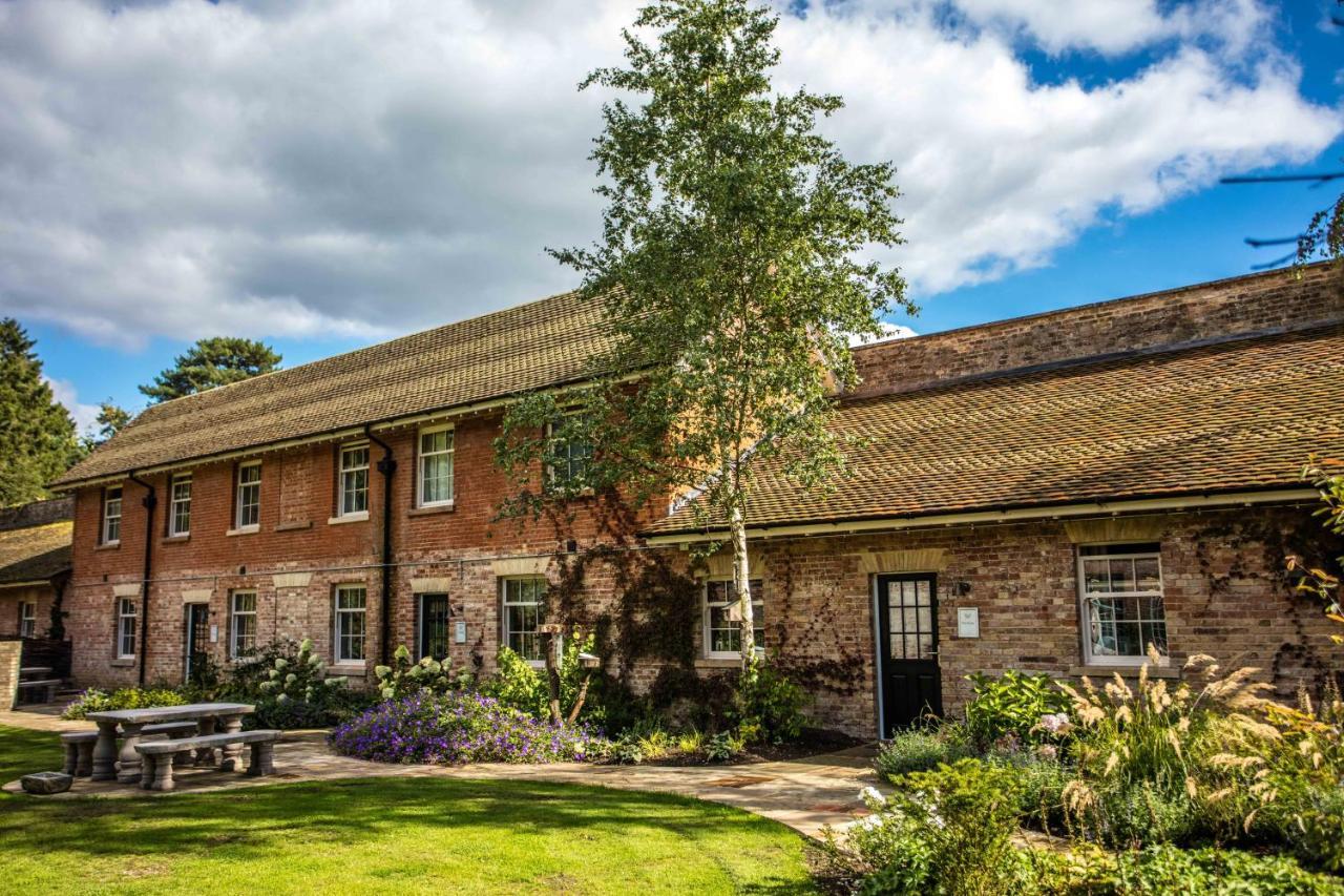 Lynford Nestled In The Heart Of Thetford Forest *