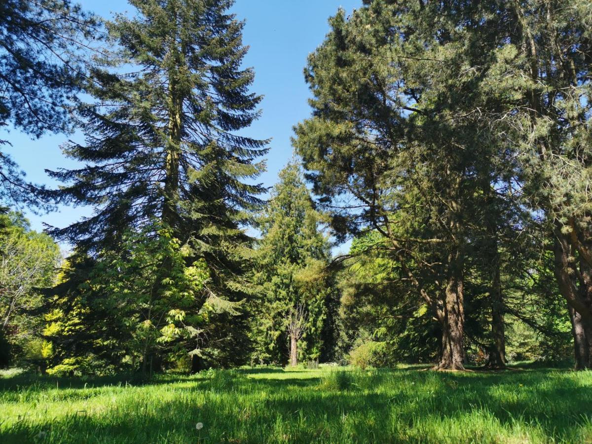Holiday home Lynford Nestled In The Heart Of Thetford Forest