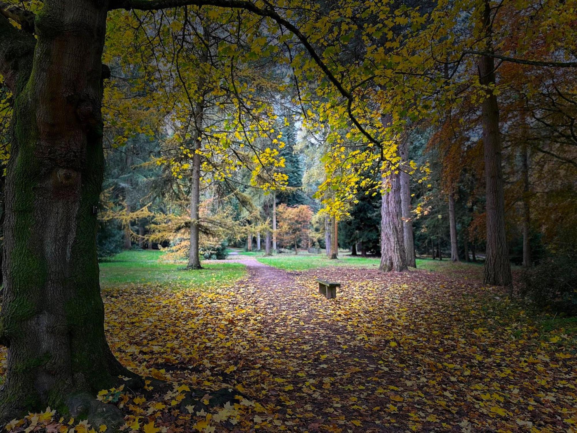 Lynford Nestled In The Heart Of Thetford Forest Holiday home *