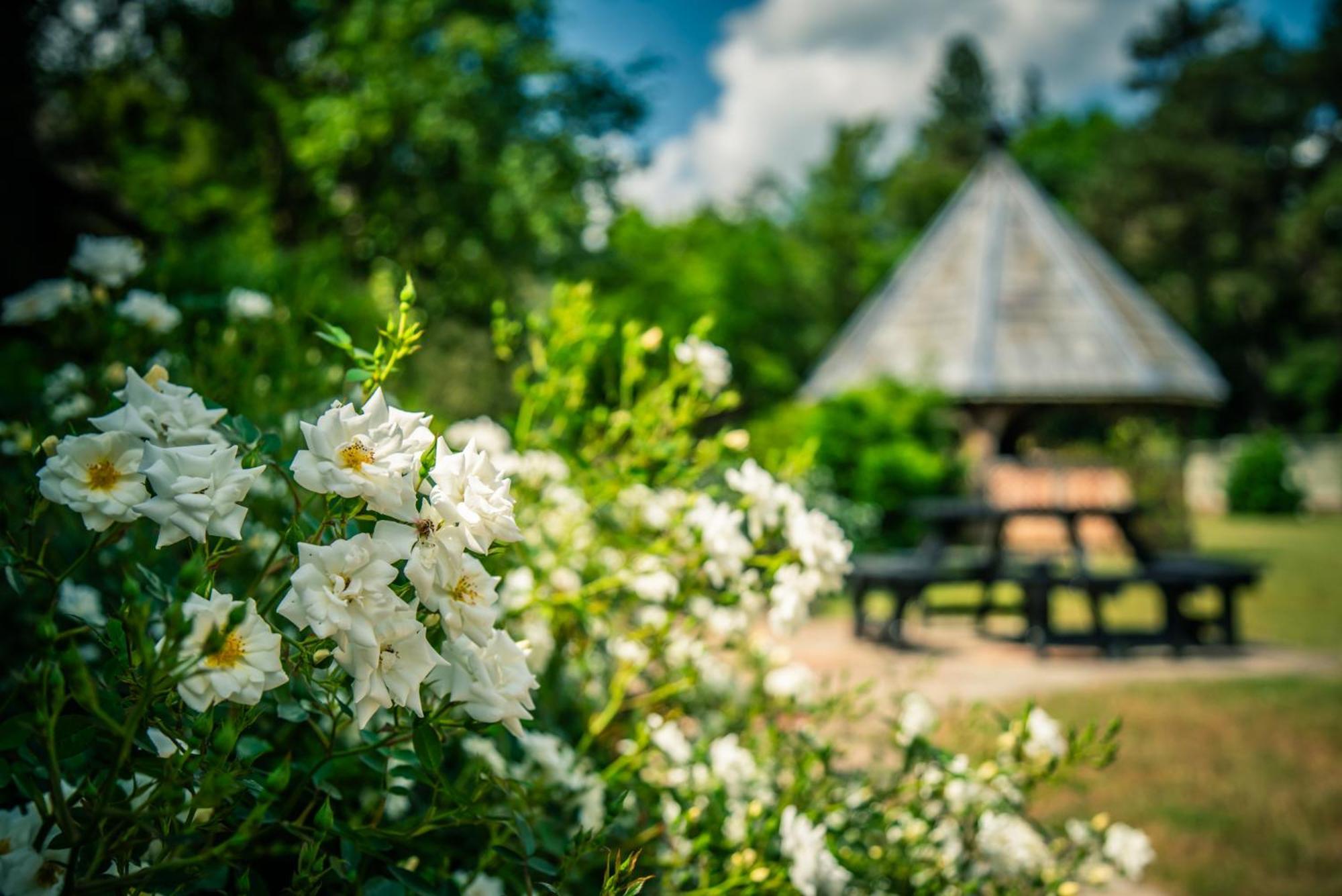 Lynford Nestled In The Heart Of Thetford Forest