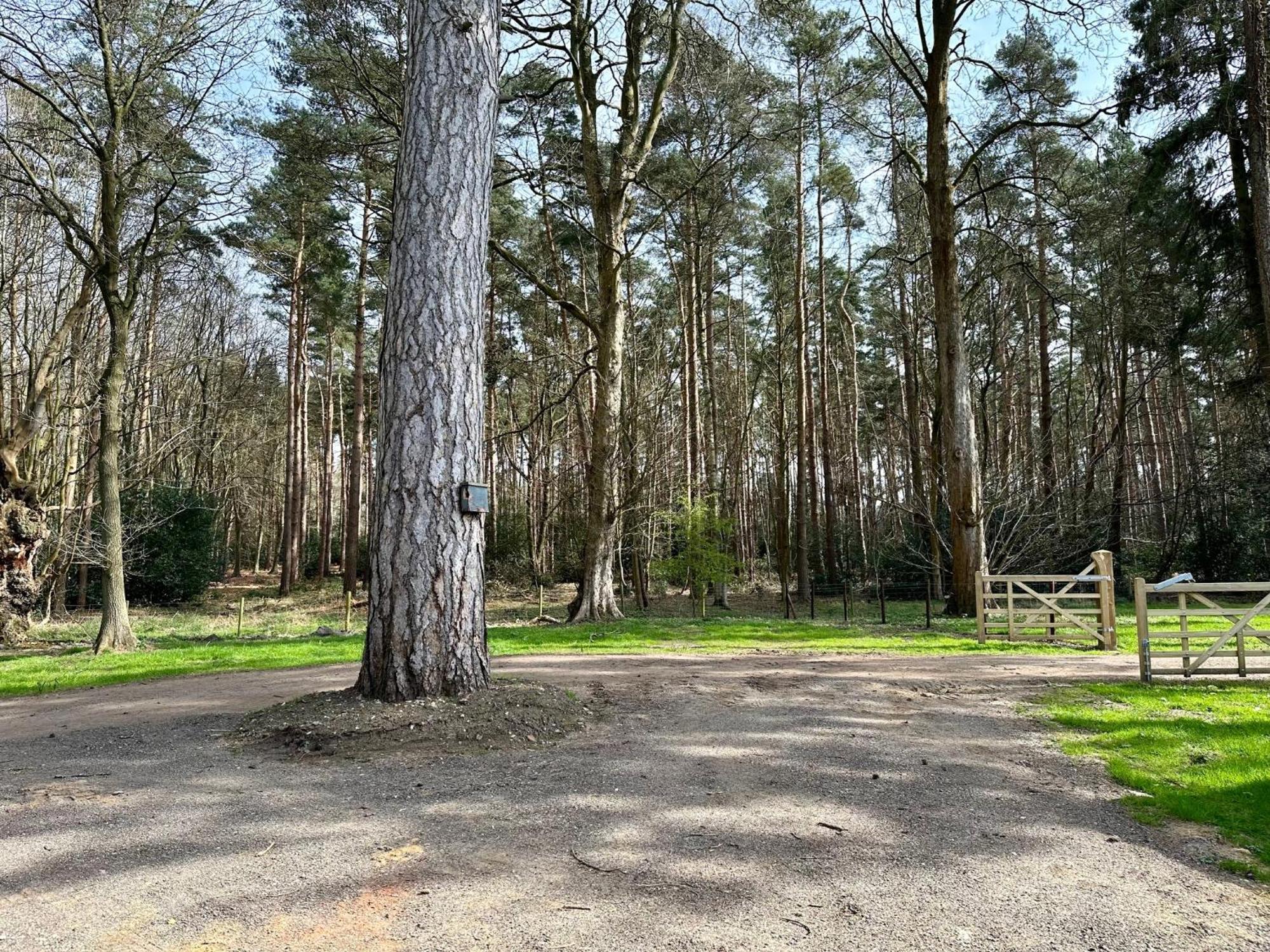 Lynford Nestled In The Heart Of Thetford Forest Mundford