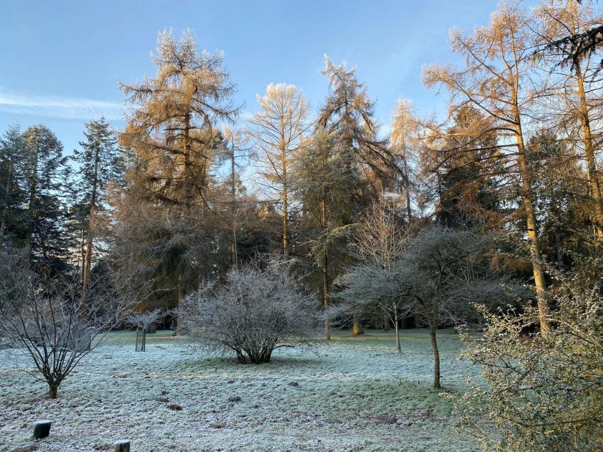 Lynford Nestled In The Heart Of Thetford Forest * Mundford